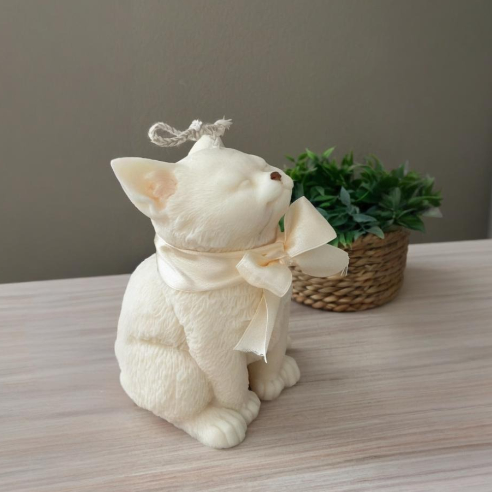 Smile Cat Silicone Mold for DI - огляд і ціна Soap Making Business